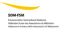 SDM-FSM